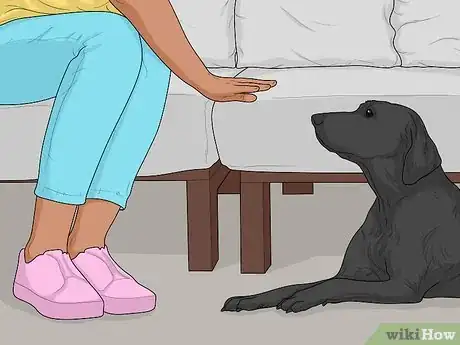 Image titled Get Dog Hair off Furniture Step 10