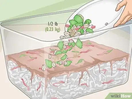 Image titled Make a Worm Farm Step 12