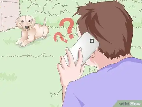 Image titled Get a Urine Sample from a Female Dog Step 11