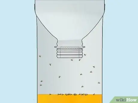 Image titled Get Rid of Fruit Flies Step 3Bullet1