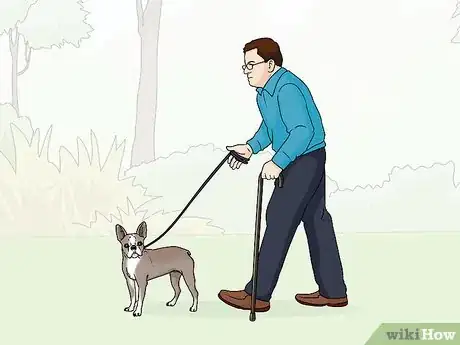 Image titled Identify a Boston Terrier Step 11