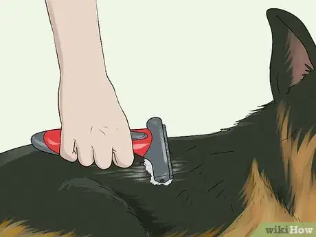 Image titled Keep a German Shepherd's Coat Shiny Step 3