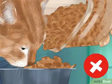 Image titled Give a Kitten Treats Step 5