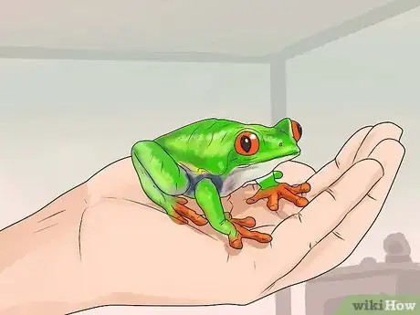 Image titled Care for Tree Frogs Step 11