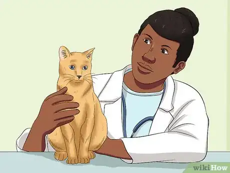 Image titled Stop a Male Cat from Spraying Step 9