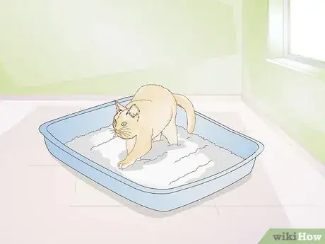 Image titled Keep Cat Litter from Tracking Step 1