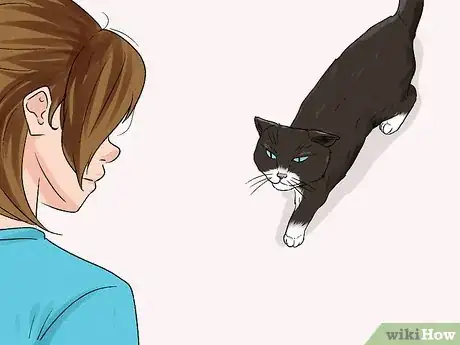 Image titled Stop an Older Cat from Attacking a Kitten Step 5