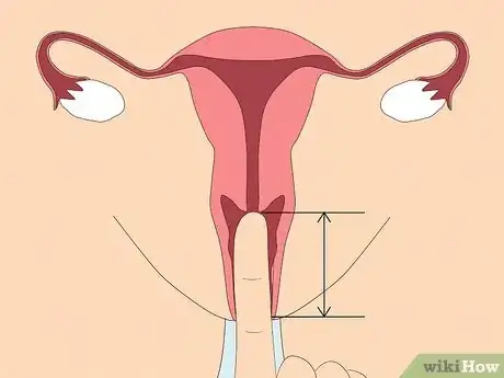 Image titled Buy a Menstrual Cup Step 2