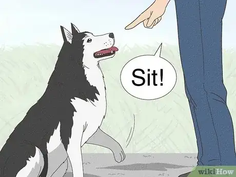 Image titled Stop a Dog from Pawing Step 1