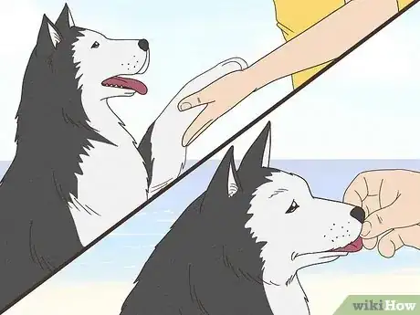 Image titled Stop a Dog from Pawing Step 6