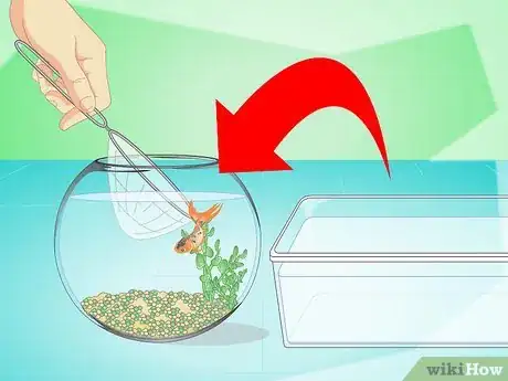 Image titled Change the Water in a Fish Bowl Step 13