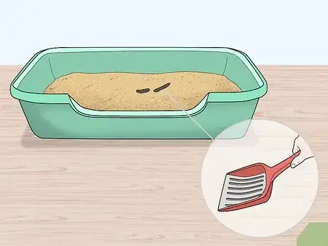 Image titled Prevent Your Litter Box from Stinking up Your House Step 1