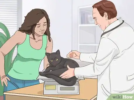 Image titled Assess Your Cat's Weight Step 8