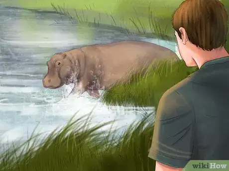 Image titled Deal With a Hippo Encounter Step 6