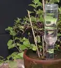 Create an Automatic Plant Watering Device from a Hot Sauce Bottle