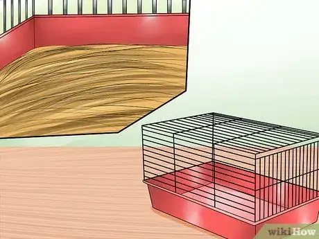 Image titled Tame Your Chinchilla Step 1