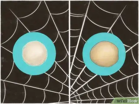 Image titled Identify Spider Egg Sacs Step 5
