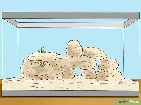 Image titled Make Aquarium Setups Stand Out Step 16