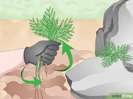 Image titled Kill Weeds in Rocks Step 12