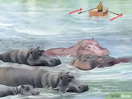 Image titled Deal With a Hippo Encounter Step 1