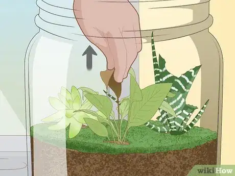 Image titled Grow a Garden in a Bottle Step 16