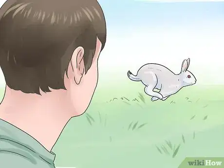 Image titled Litter Train a Rabbit Step 15