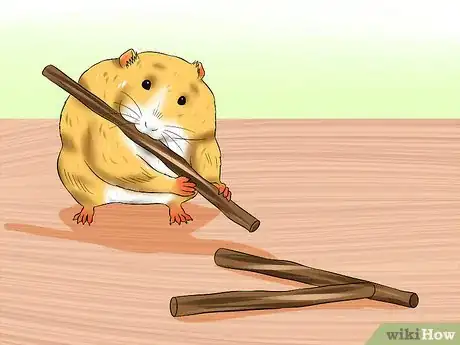 Image titled Care for a Hamster That Bites Step 2