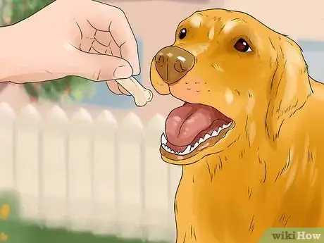 Image titled Make a Golden Retriever Stop Barking Step 6