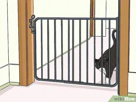 Image titled Stop an Older Cat from Attacking a Kitten Step 3