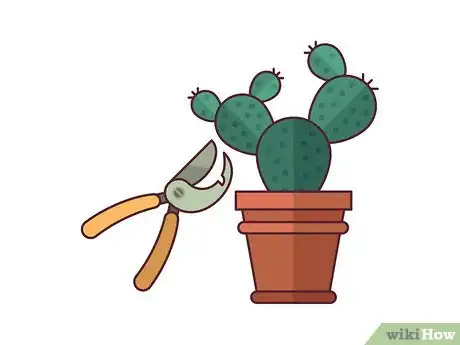 Image titled Grow Cactus Indoors Step 1