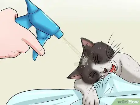 Image titled Stop a Cat from Chewing Step 7