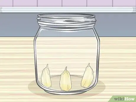 Image titled Grow Garlic in Water Step 2