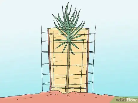 Image titled Grow Pine Trees Step 13