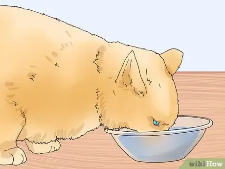 Image titled Avoid Overfeeding Your Cat Step 9