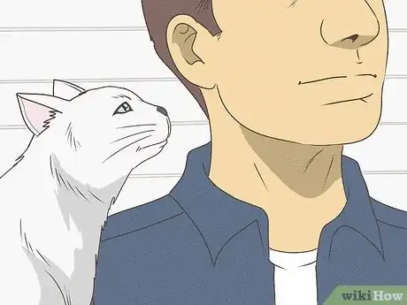 Image titled What Does It Mean when Your Cat Licks You Step 10