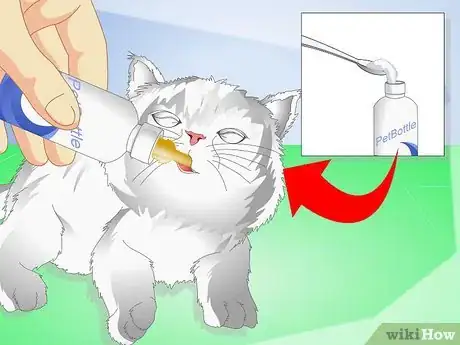 Image titled Get Your Kitten to Eat Step 4