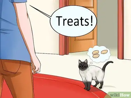 Image titled Train Your Cat to Come to You Step 3