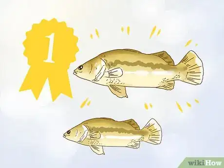 Image titled Run a Fishing Tournament Step 4