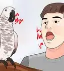 Train Parrots to Make Less Noise
