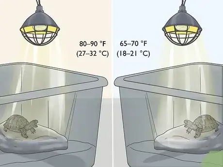 Image titled Make A Habitat for Hermann’s Tortoises Step 6