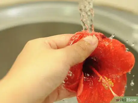 Image titled Make Shampoo With Hibiscus Flowers and Leaves Step 2