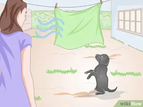 Image titled Remove Dog Urine Step 21