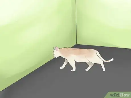 Image titled Tell if Your Cat Is Blind Step 1