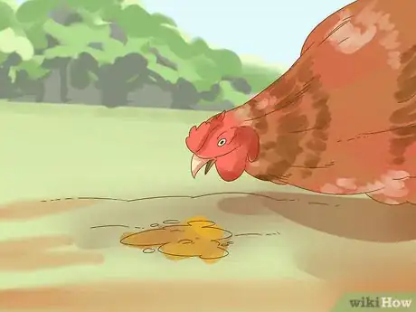 Image titled Tell if a Chicken is Sick Step 4