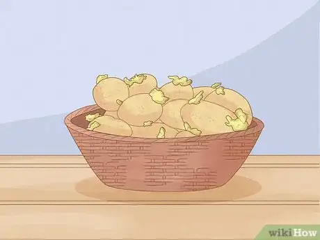 Image titled Grow Potatoes Indoors Step 1