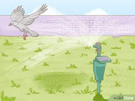 Image titled Get Rid of Birds Step 10