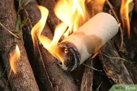 Image titled Make Fire Starters with Paper Rolls and Dryer Lint Intro
