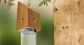 Make a Bee Trap