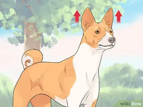 Image titled Tell if a Dog Is Going to Attack Step 3