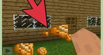 Find Potatoes in Minecraft PE